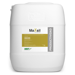 Maxsil